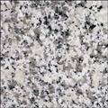 Granite Countertop Bianco Sardo Sample